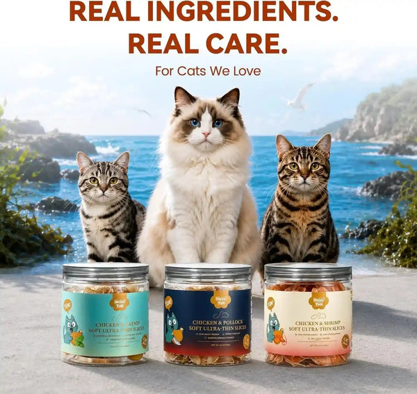 Soft Chicken & Shrimp Cat Treats Thin Slices Easy Chew 3.2 Oz | Thin Soft Slices for Kittens, Adults and Senior Cats; Easy-Chew Texture for Daily Rewarding6