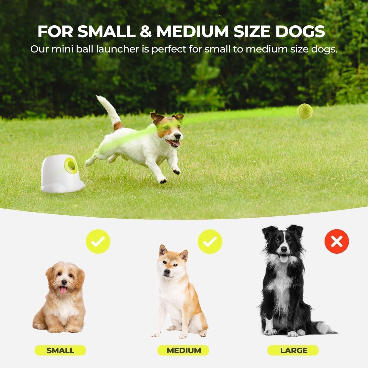 all-for-paws-automatic-dog-ball-launcher-interactive-fetch-toy-for-small-to-medium-dogs-pet-thrower-machine-for-indoor-outdoor-play-3-pcs-2-inch-balls-included