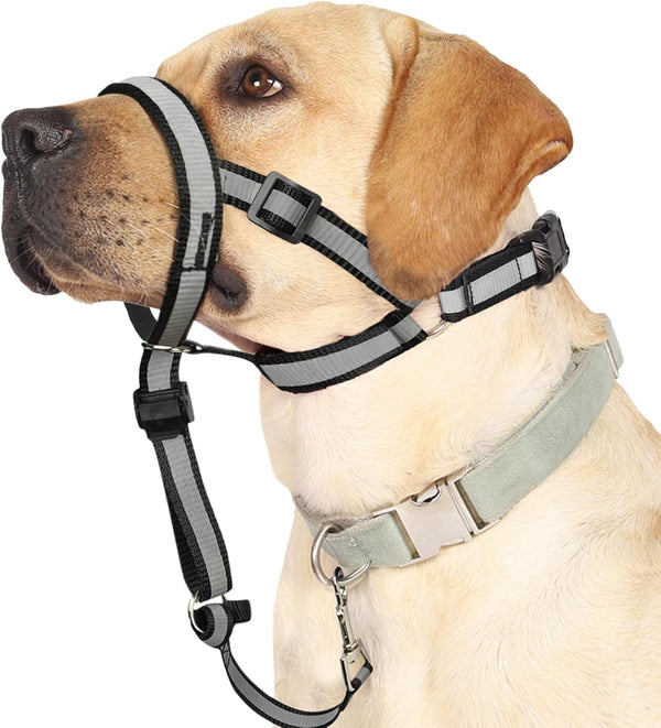 BARKLESS Reflective Head Collar, No Pull Collar for Large Dogs | Anti-Pull Muzzle Leash for Large Breed, Adjustable Soft Dog Halter for Easy Control on Walks, Outdoor Activities1