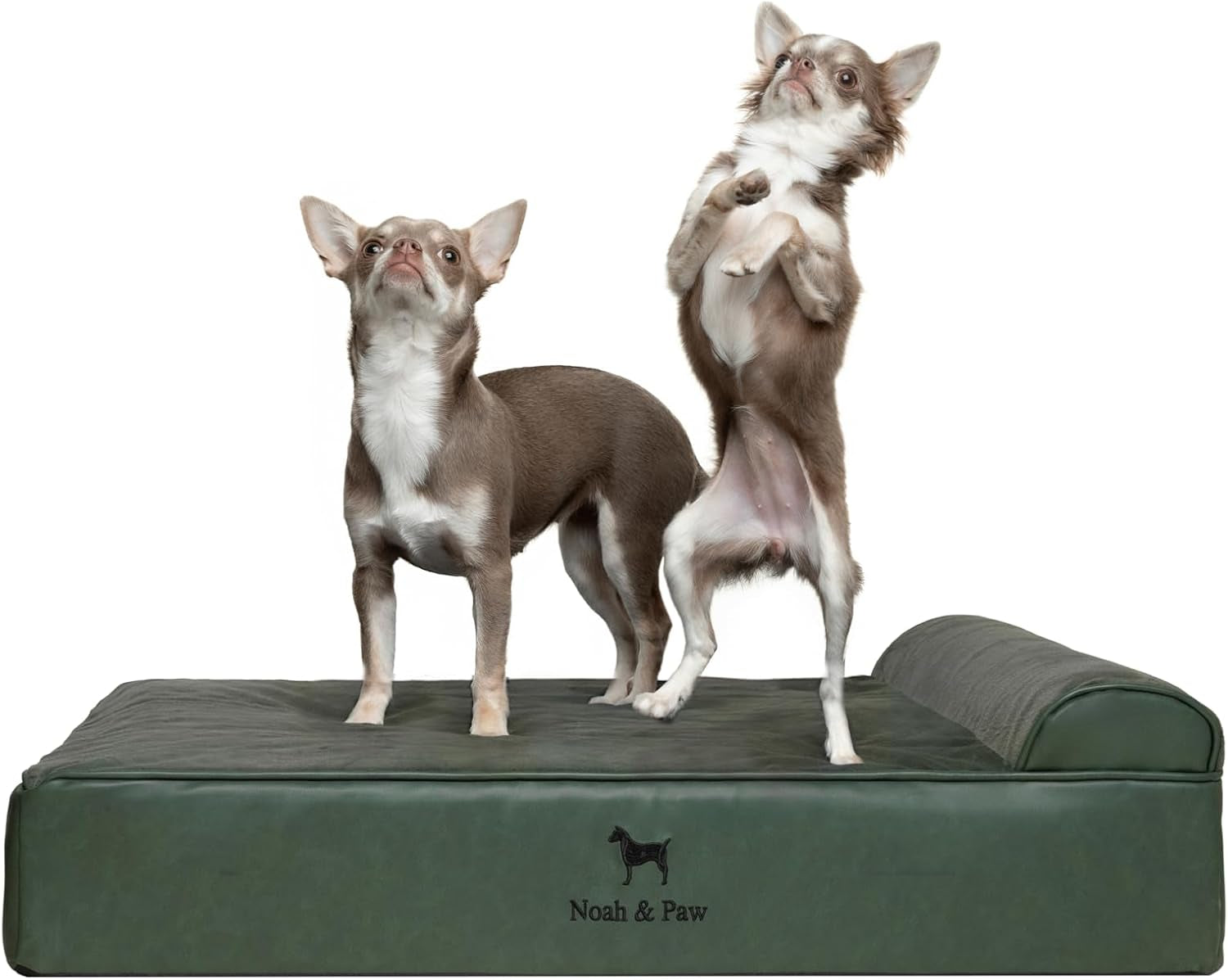 noah-paw-large-dog-bed-35x25x8-7-inch-orthopedic-dog-beds-eggshell-memory-foam-infused-with-cooling-gel-water-resistant-machine-washable-includes-inner-cover-velvet-collection