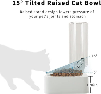Marchul Double Elevated Dog Cat Bowl, Pets Water and Food Bowl Set, 15° Raised Tilted Dishes Indoor for Kitten, Puppies, Small or Medium Size Dogs Cats4