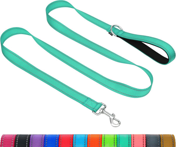 Taglory Reflective Dog Leash for Small Dogs, 3/4In X 6Ft, Black | Ideal for Night Walking, Strong for Sudden Pulls, Lightweight & Gentle on the Neck, Soft Padded Handle11
