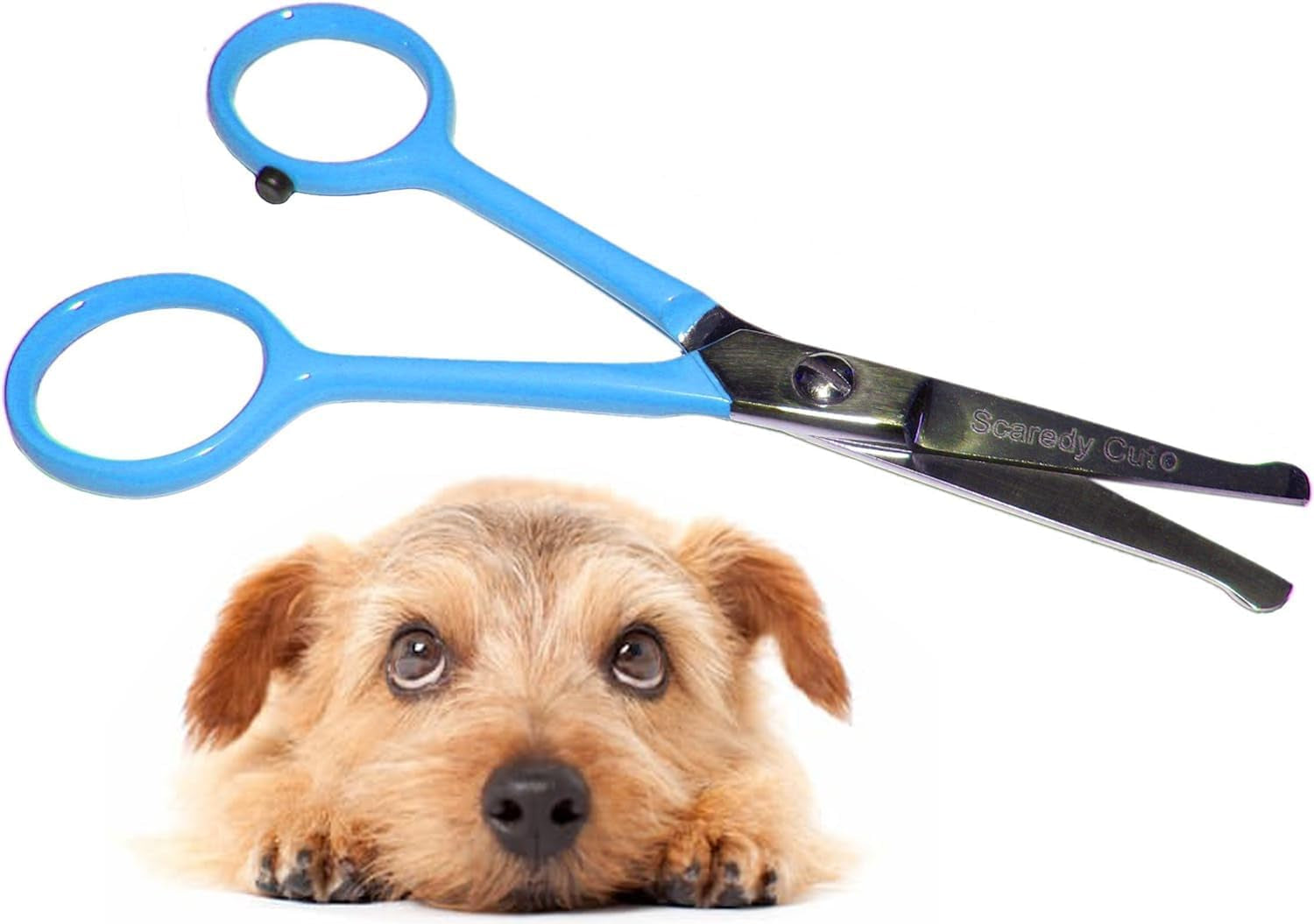 tiny-trim-4-5-ball-tipped-scissor-for-dog-cat-and-all-pet-grooming-ear-nose-face-paw-scaredy-cuts-small-safety-scissor-blue