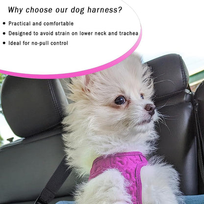 Comfort Fit Step-In Dog & Puppy Harness - Comfortable All Weather Dog Vest Harness: Adjustable, Soft Padded, Easy to Put-On for Small, Medium-Sized Dogs (Plush Both Side Velvet)2
