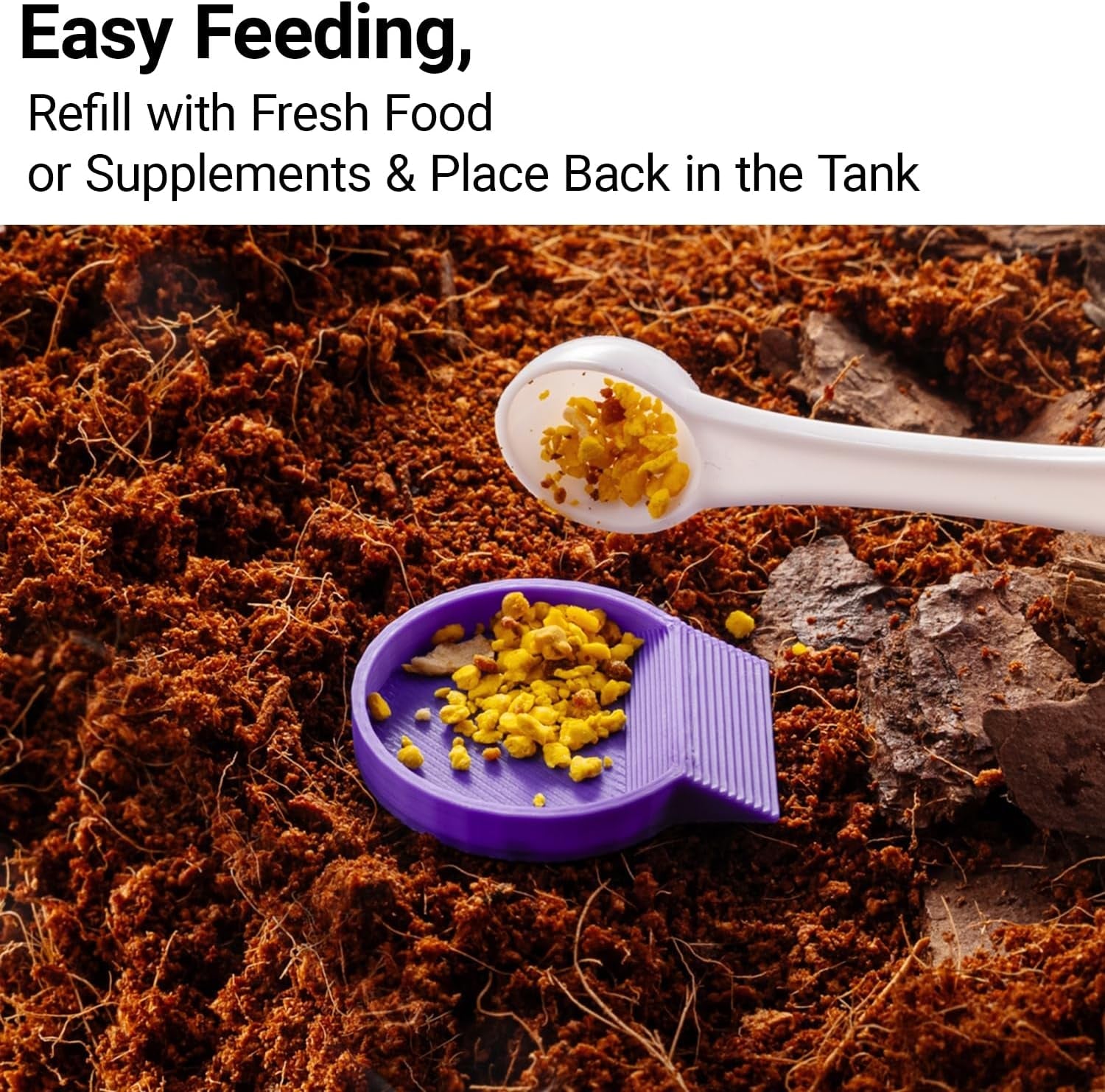 12-pack-feeding-dish-for-invertebrates-feeder-bowls-for-dubia-roaches-isopods-springtails-superworms-small-insects-more-mini-bowls-for-reptile-food-supplements