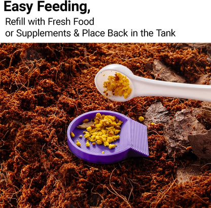 12-Pack Feeding Dish for Invertebrates – Feeder Bowls for Dubia Roaches, Isopods, Springtails, Superworms, Small Insects & More – Mini Bowls for Reptile Food & Supplements5