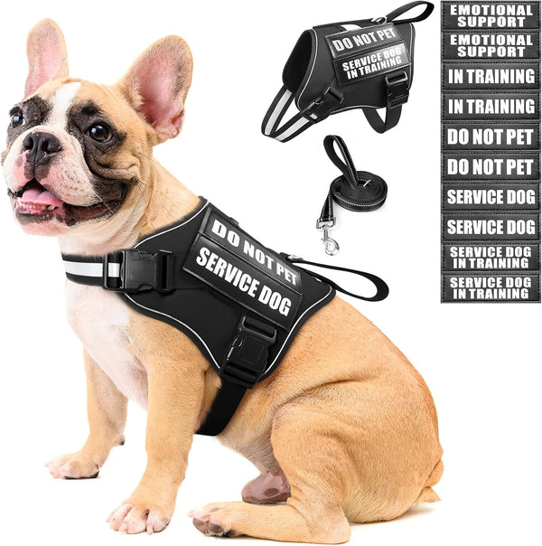 Service Dog Vest Harness and Leash Set+10 Patches,No Pull&Adjustable Reflective Dog Harness with Soft Padded Handle for Training/Everyday,Fit Small/Medium/Large/Extra-Large Dogs(Red XL) | No Pull&Adjustable Reflective Service Dog Harness Large Sized,Dog Leash with 2 Soft Padded Handles,For Training Working21