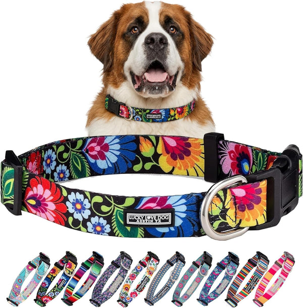 Lucky Love Dog - Easy Click Buckle Dog Collar with Leash Set Combo, Durable & Comfortable for Male & Female Dogs, Pet Collar for Medium Dogs, Secure Fit - Blackbird Combo, Medium51