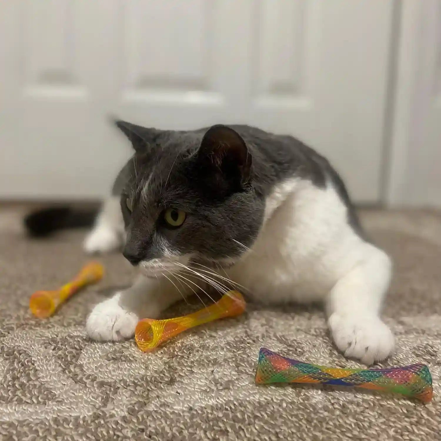 spot-kitty-fun-tubes-cat-toy-with-catnip-inside-bouncy-interactive-mesh-toy-for-cats-and-kittens-to-bite-swat-and-chase-3-pieces
