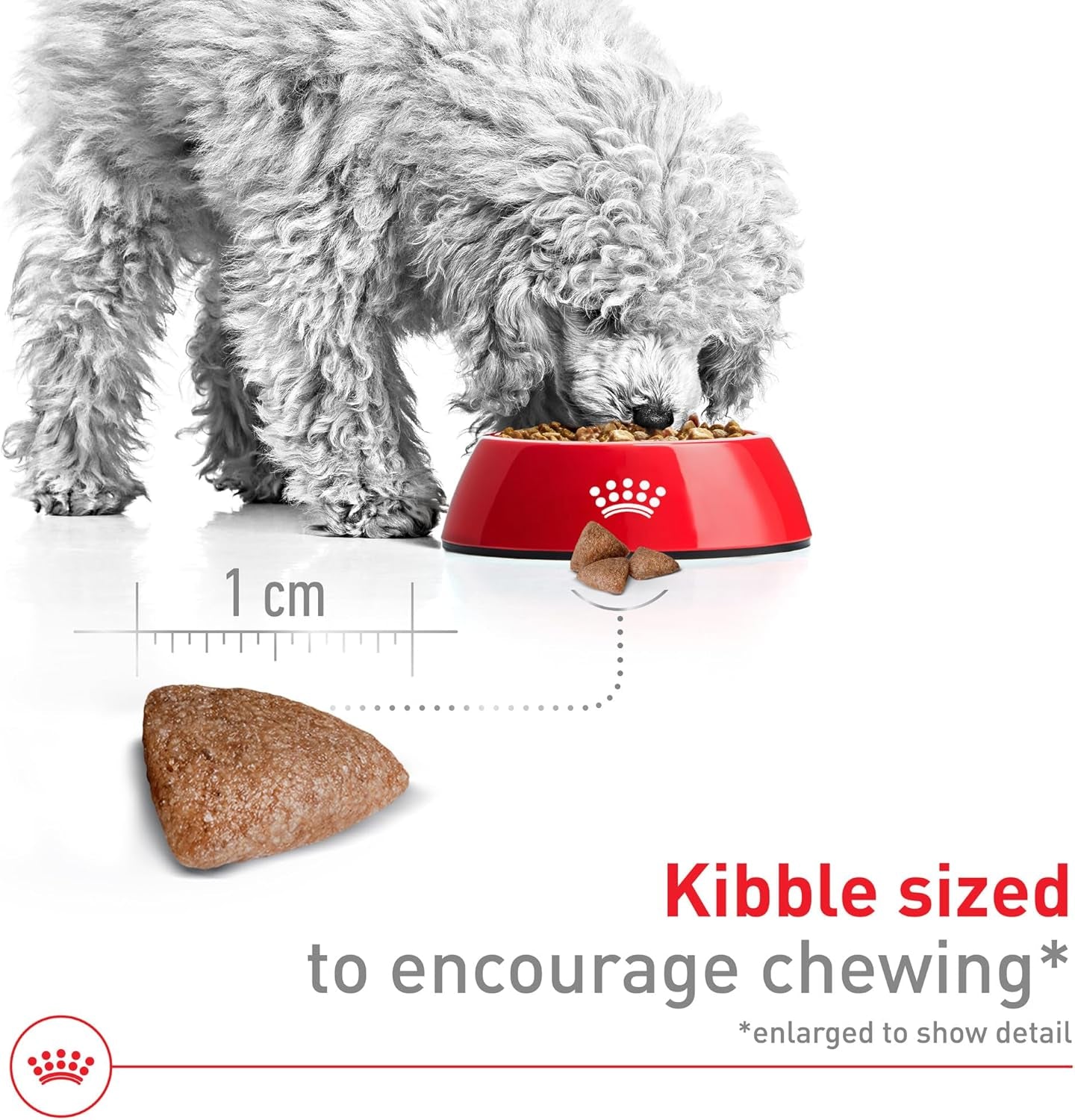 royal-canin-size-health-nutrition-small-indoor-adult-dry-dog-food-2-5-lb-bag