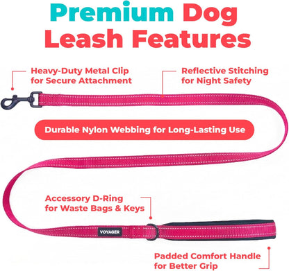 Best Pet Supplies Voyager Nylon Dog Leash - Fuchsia, Small | 5Ft in Length, 5/8" in Width, Reflective, Soft Neoprene Handle, Heavy Duty Metal Clips for Running, Walking & Training2