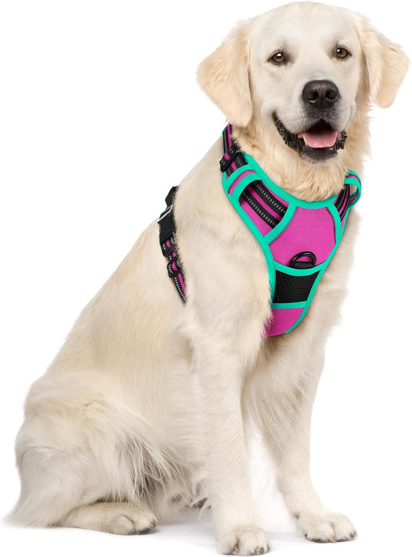 Rabbitgoo Dog Harness, No Pull for Large Dogs with 2 Leash Clips, Pet Vest | No Choke with Handle, Adjustable Soft Padded, Reflective, Easy Control for Walking, Black, Large55