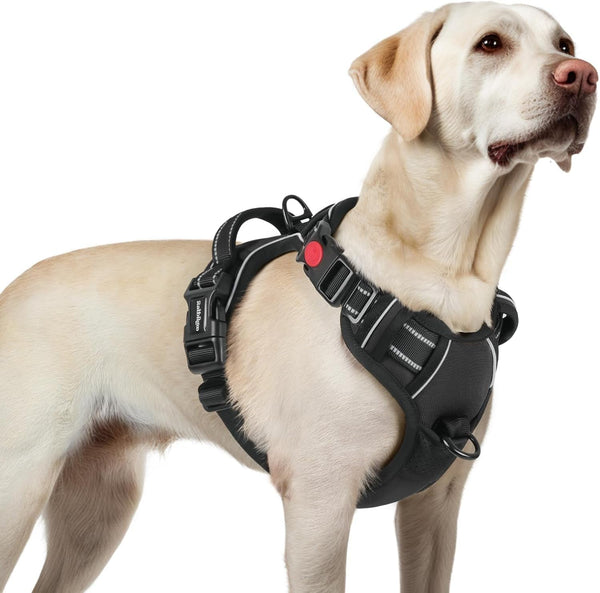 Rabbitgoo Dog Harness Medium Sized, Updated Easy on & off with 3 Buckles | No Pull No Choke, Walking with 2 Clips and Handle, Adjustable Soft Reflective, Blue, Medium59
