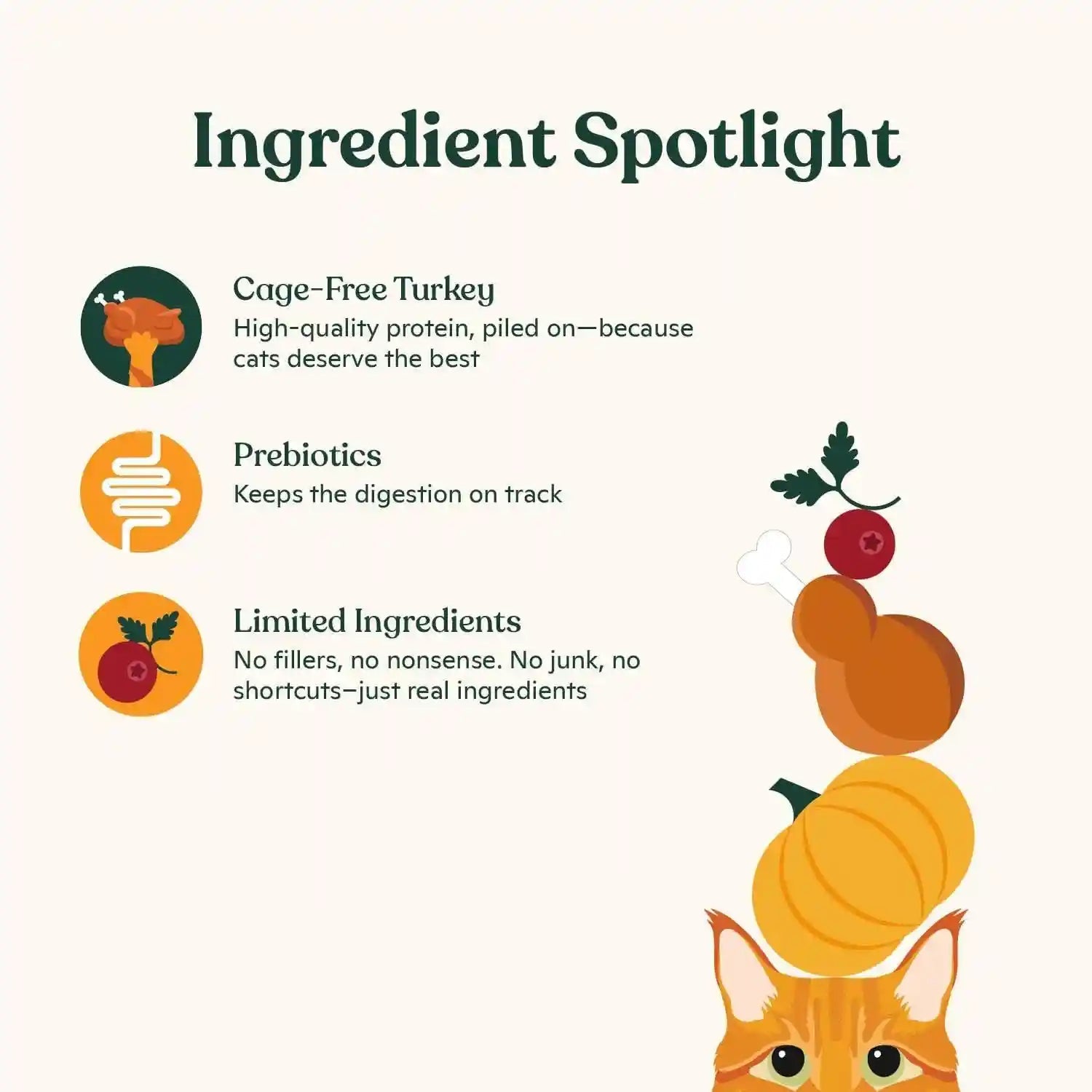made-by-nacho-bone-broth-cat-food-topper-for-hydration-and-picky-eaters-add-protein-and-flavor-to-your-dry-cat-food-supports-optimal-nutrition-digestion-skin-coat-11-oz-turkey