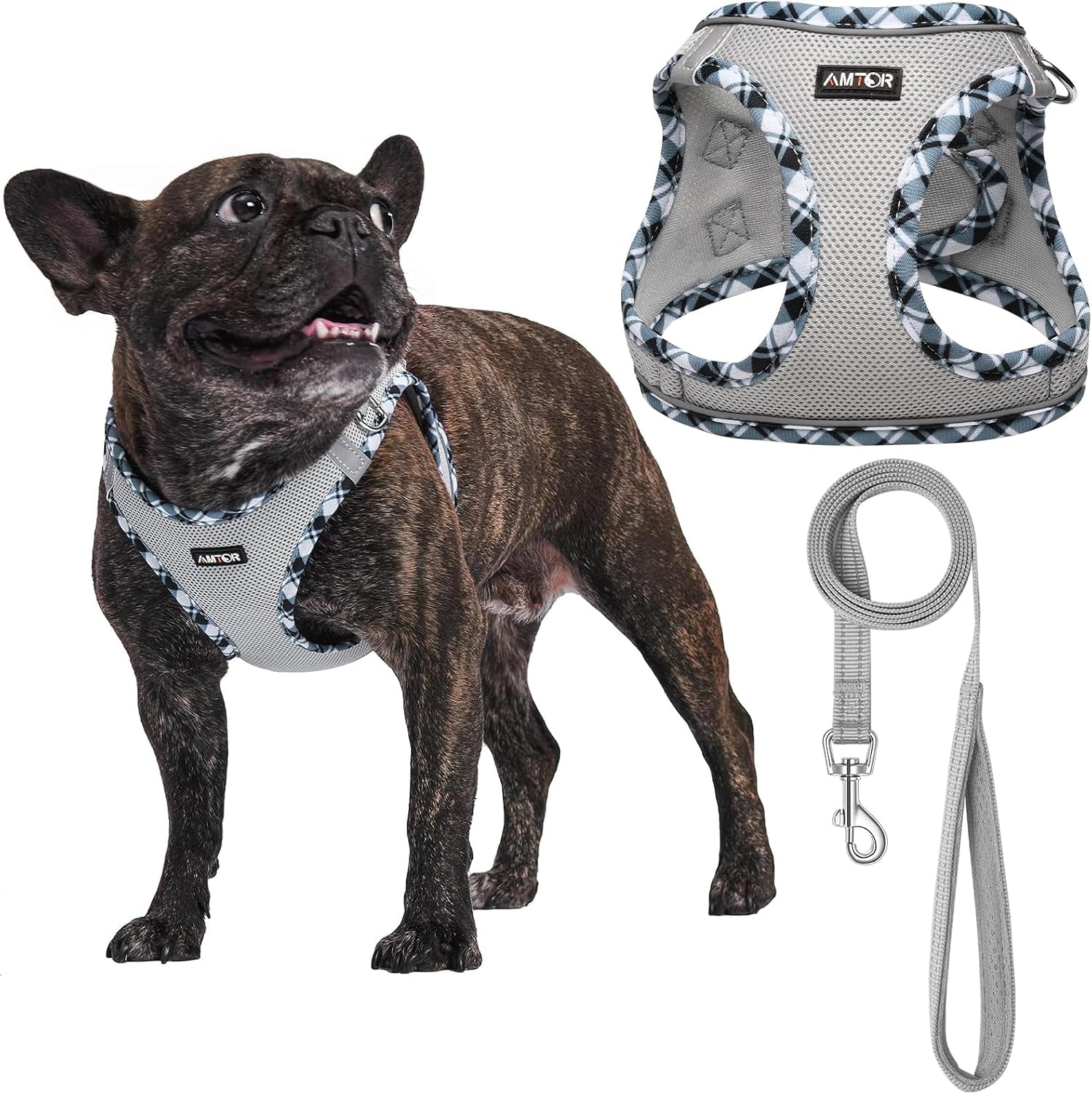 amtor-small-dog-harness-with-leash-set-no-escape-easy-walk-puppy-harnesses-for-training-walking-step-in-reflective-soft-dogs-vest-for-xs-s-medium-extra-small-large-sized-doggreen-s