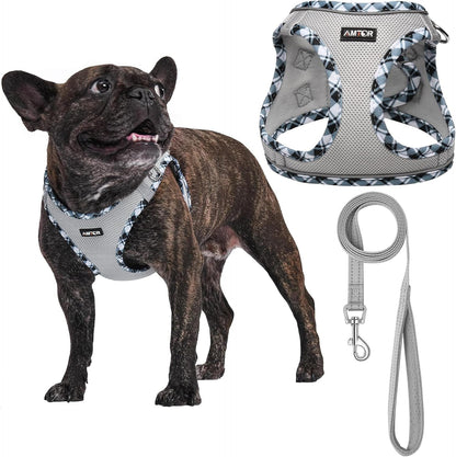 AMTOR Small Dog Harness with Leash Set, No Escape Easy Walk Puppy Harnesses for Training Walking, Step-In Reflective Soft Dogs Vest for XS S Medium Extra-Small Large Sized Dog(Green,S)11