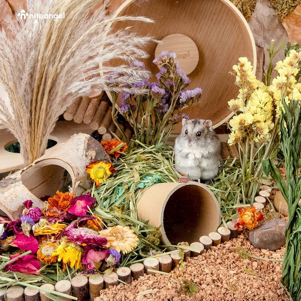 Niteangel Natural & Soft Hamster Bedding Mate: Air-Dried Flowers & No-Add | Fun to Cage Habitat & Adds Vibrant Color - Decor for Syrian Dwarf Hamster Gerbils Mice Degus or Other Small-Sized Pet5