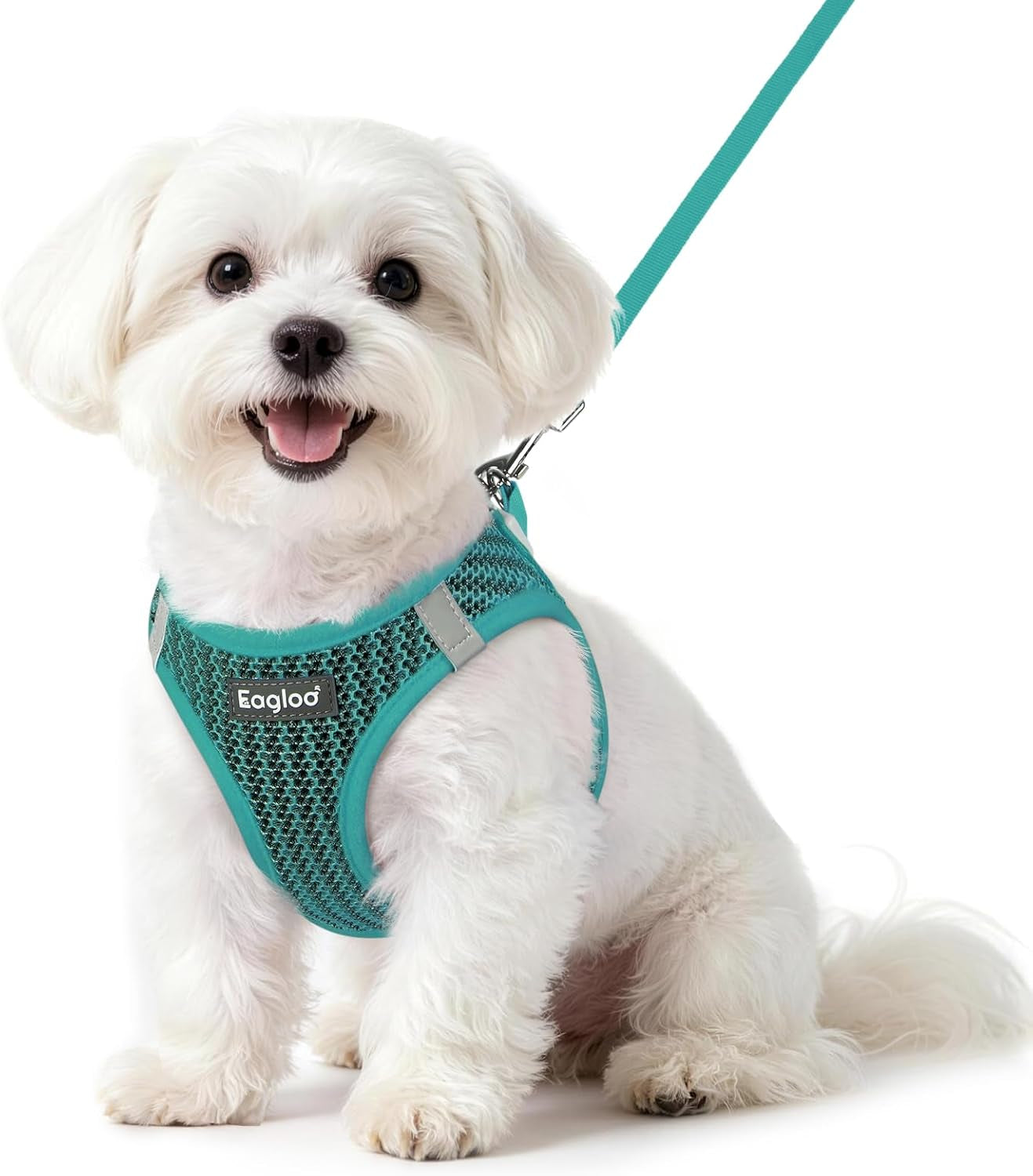 eagloo-small-dog-harness-and-leash-set-step-in-small-sized-puppy-pet-vest-light-soft-breathable-air-mesh-easy-on-and-off-with-hook-loop-reflective-for-safe-walking-pink-s