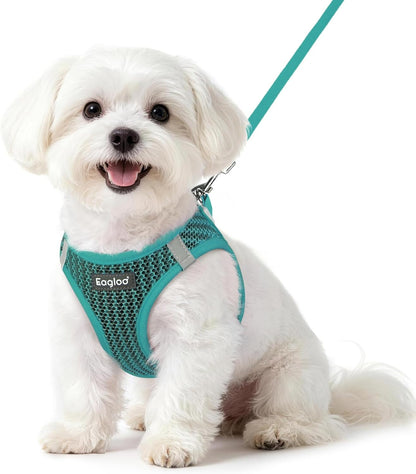 Eagloo Small Dog Harness and Leash Set, Step in Small Sized Puppy Pet Vest | Light, Soft, Breathable Air Mesh, Easy on and off with Hook & Loop, Reflective for Safe Walking, Pink, S13