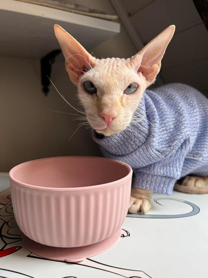 Cat Bowls with Suction Cup 13 Oz — Elevated Silicone Pet Dish with Non-Slip Bottom for Dry Food, Wet Food and Water (Light Grey)2