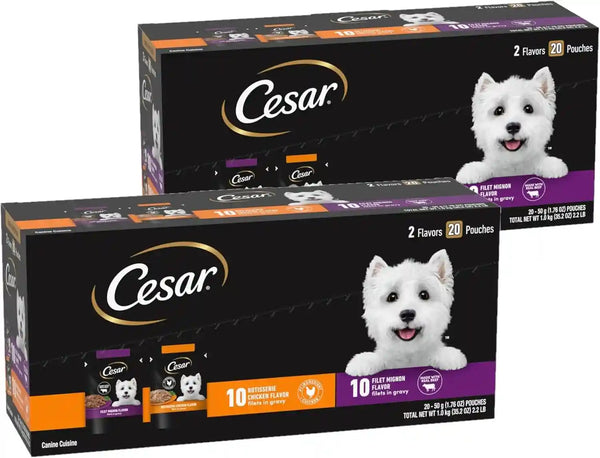 Cesar Mini-Pouch Wet Dog Food, Filet Variety Pack, 1.76 Oz, 40 Count | 3 Flavors: Rotisserie Chicken, Filet Mignon, Wood-Grilled Chicken, Real Chicken or Beef, Easy Peel-And-Serve, Protein-Packed17
