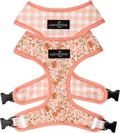Lucy & Co. Reversible Dog Harness - Water-Repellent Neoprene, Dual-Print Design, Easy Swap Style, Adjustable Comfort Fit - Take a Bow Reversible Harness - Small17