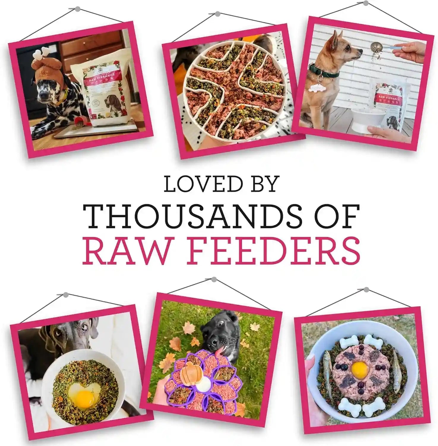 dr-harveys-raw-vibrance-dog-food-base-mix-6-lb-dehydrated-grain-free-foundation-for-raw-diet