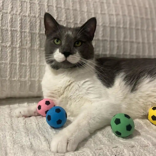 SPOT Sponge Soccer Ball Cat Toys for Cats and Kittens - Interactive and Colorful Plush Toy, Fun to Bat and Chase, Keep Cats Entertained - 1.5" Assorted 4-Pack9