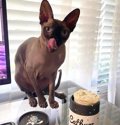 Catbuzz Premium and Organically Grown Catnip, Fresh, Grown by Family Farmers in the USA, All-Natural, Eco-Friendly, Sustainable3
