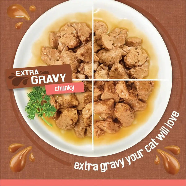 Purina Friskies Extra Gravy Wet Cat Food Chunky 24Ct Variety Pack (With Chicken, Turkey, Salmon, Beef) - (Pack of 24) 5.5 Oz. Cans4