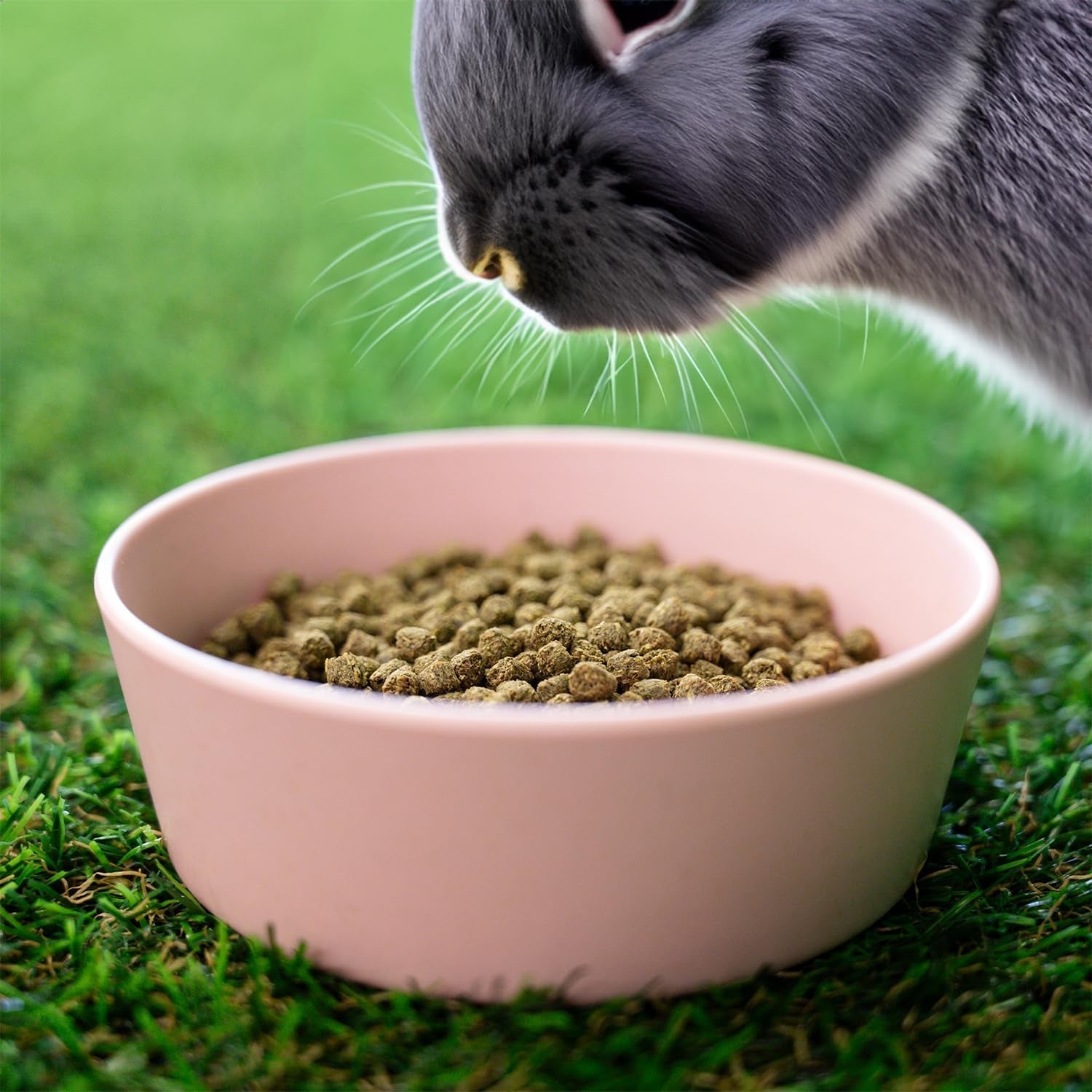 blue-seal-fresh-show-hutch-deluxe-17-rabbit-food-resealable-packaging-to-hold-in-freshness-promotes-a-healthy-digestive-system-and-proper-intake-4-5-lb-bag