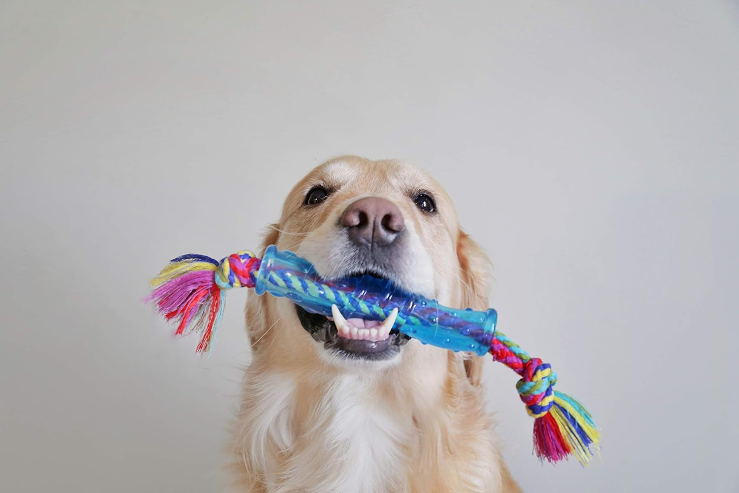 petstages-orka-stick-alternative-dog-chew-toy