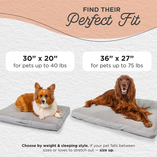 Best Friends by Sheri Cool & Cozy Dog Cooling Bed, Orthopedic Comfort with Shredded Foam & Plush Polyfill, Water Resistant Base & Washable Cover, Dogs & Puppies, Gray, Small, 30" X 20"5