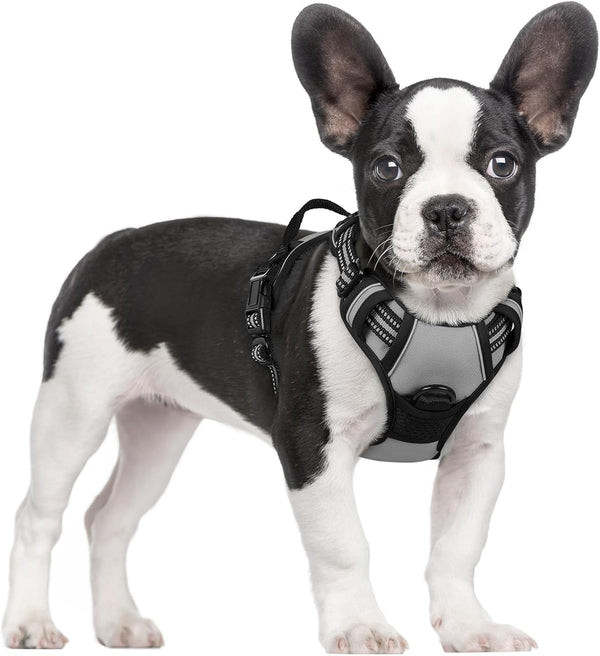 Rabbitgoo Dog Harness, No Pull for Large Dogs with 2 Leash Clips, Pet Vest | No Choke with Handle, Adjustable Soft Padded, Reflective, Easy Control for Walking, Black, Large33