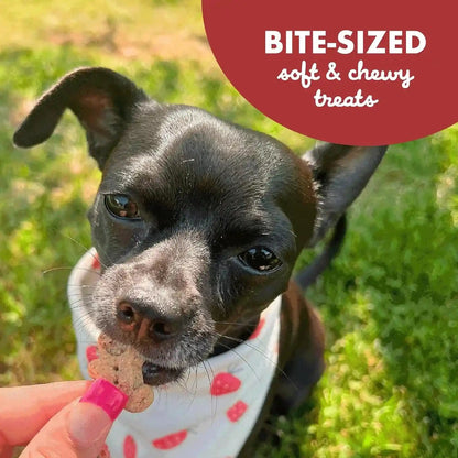 Buddy Biscuits Softies 5 Oz Pouch, Grain-Free Soft & Chewy, Natural Grilled Beef Flavor Dog Treats, Oven Baked in the USA7