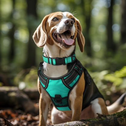 Joytale Reflective Dog Collar, Adjustable Neoprene Padded, Teal L | Breathable Nylon for Large Dogs, No Chafing on Walks and Outdoor Hikes, Tear-Resistant Webbing, Metal D-Ring, Night Safety2