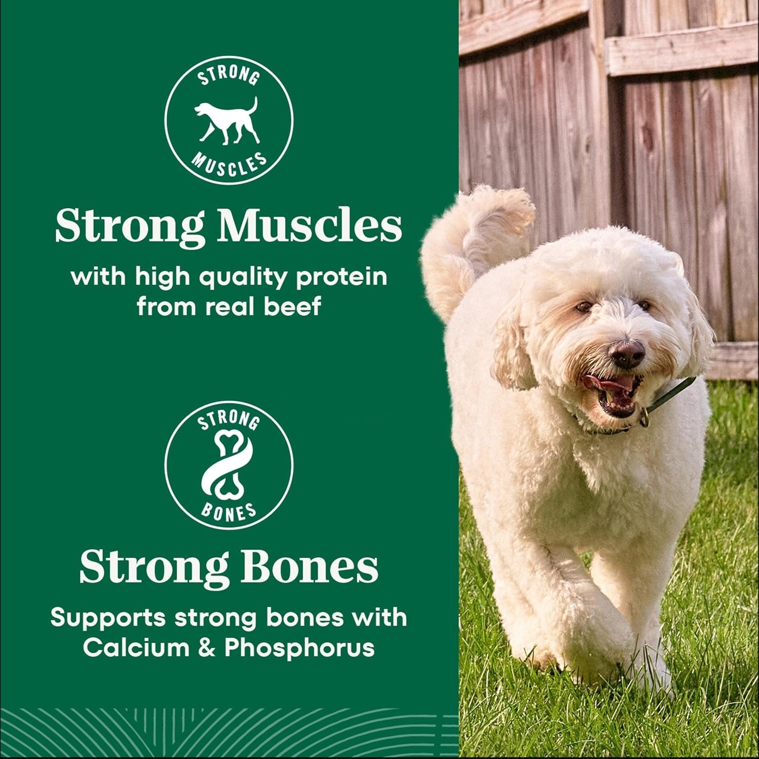 nutro-natural-choice-adult-dry-dog-food-chicken-brown-rice-recipe-30-lb-non-gmo-real-chicken-1-ingredient-no-corn-wheat-soy-or-chicken-by-product-meal-supports-skin-coat-digestion-immunity