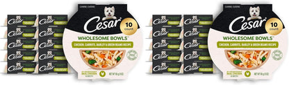 Cesar Wholesome Bowls Wet Dog Food, Chicken Recipe, 3 Oz, 10 Count | Real Chicken #1 Ingredient, Slow-Cooked, 7 Key Ingredients, No By-Products or Artificial Flavors, Easy to Digest15