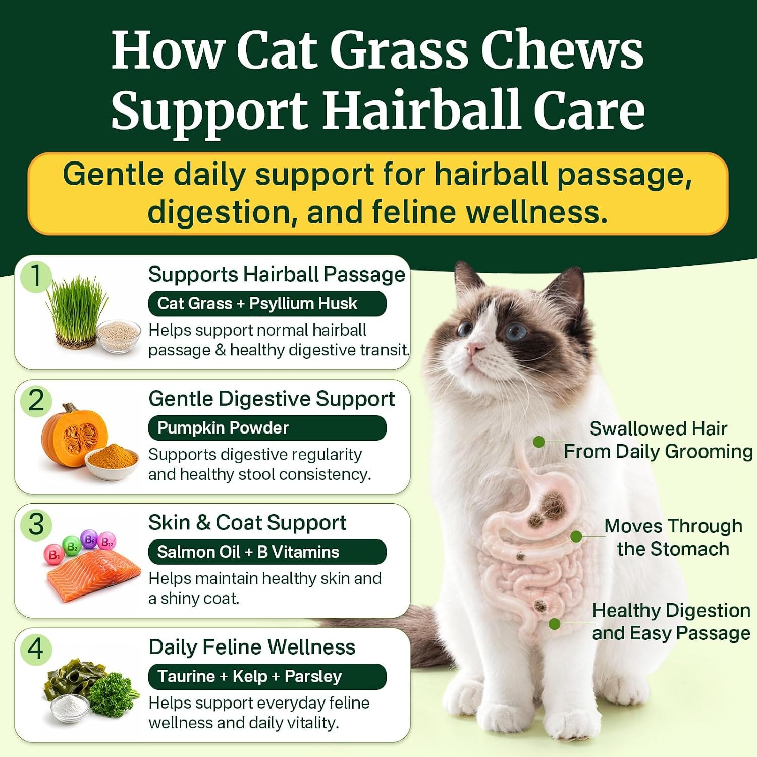 cat-grass-treats-chews-cat-treats-for-indoor-cats-500-hairball-treatment-for-cats-hairball-control-feline-grass-chews-with-fish-oil-taurine-b-vitamins-for-skin-coat-digestion-dental-care