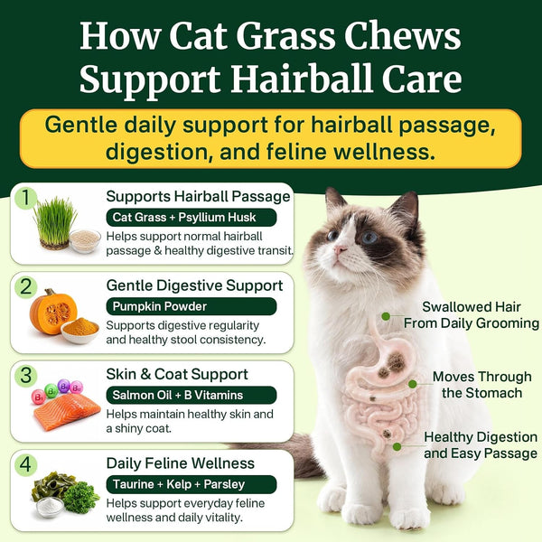 Cat Grass Treats Chews, Cat Treats for Indoor Cats, 500 Hairball Treatment for Cats, Hairball Control, Feline Grass Chews with Fish Oil, Taurine & B Vitamins for Skin & Coat, Digestion & Dental Care4