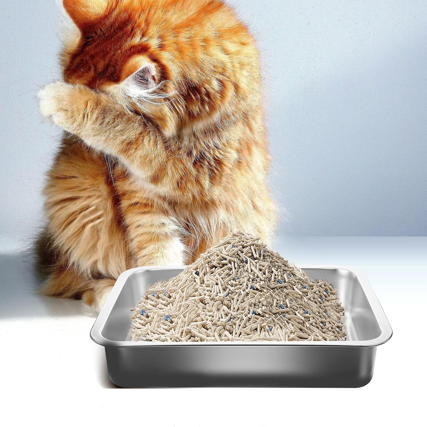 stainless-steel-cat-litter-tray-open-metal-pan-kitten-toilet-with-stable-bottom-for-easy-pet-housebreaking