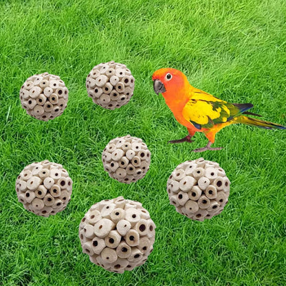 LWINGFLYER 6 Pieces Sola Atta Ball Parrot Biting Toy Bird Chew Accessories Natural Sola Plant Material for Birds, Rabbits, Hamsters and Small Pets.4