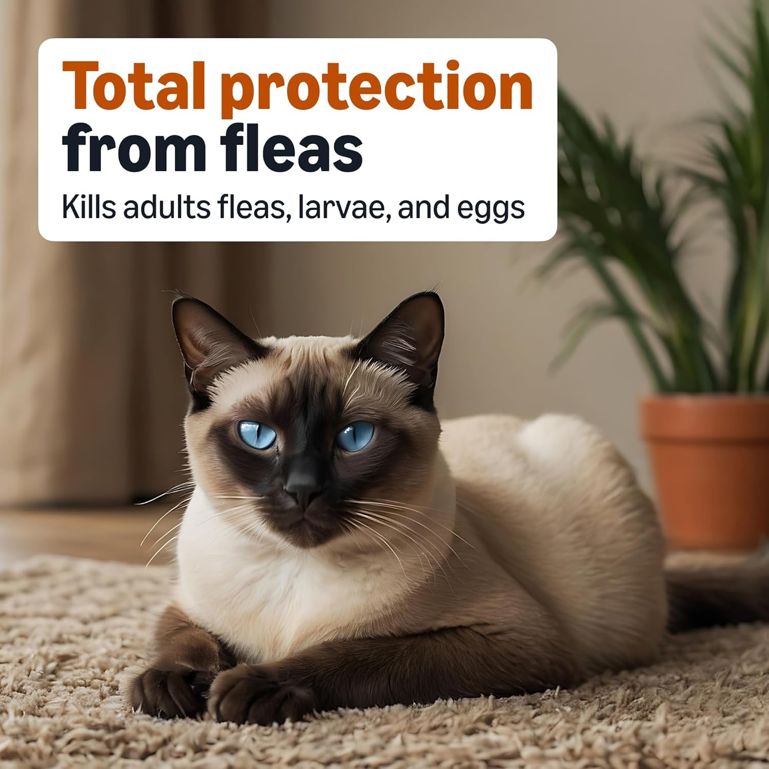 amazon-basics-topical-flea-treatment-for-medium-cats-5-9-pounds-4-count-packaging-may-vary
