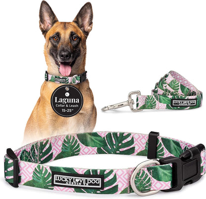 Lucky Love Dog - Easy Click Buckle Dog Collar with Leash Set Combo, Durable & Comfortable for Male & Female Dogs, Pet Collar for Medium Dogs, Secure Fit - Blackbird Combo, Medium95