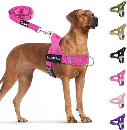 Slowton No Pull Dog Harness - Heavy Duty Dog Harness and Leash Set for Medium Large Dogs, Reflective Tactical Harness with Soft Padded and Front Clip for Easy Walk and Training (Black L)14