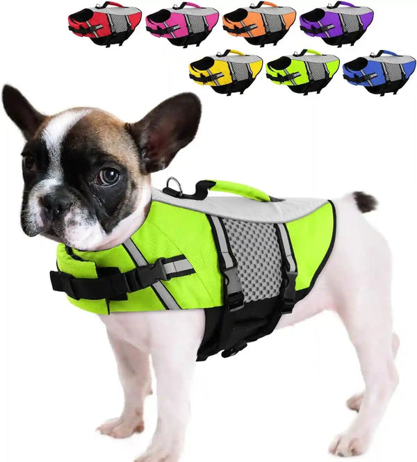 Queenmore Dog Life Jacket Small Float Vests for Swimming Boating Kayaking Mediumn Puppy Dogs Cats Neoprene Life Preserver Pet Water Lifesaver Lightweight Reflective Green,L1