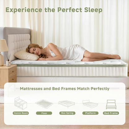 Queen Size Mattress,14 Inch Queen Mattress Hybrid in a Box, Medium Firm Memory Foam with Individual Pocket Springs, Upgrade Zoned Support, Motion Isolation&Pressure Relief, Certipur-Us6