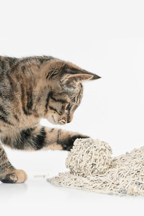 Pidan Tofu Cat Litter with Bentonite,Clumping,Mix Litter Plant Based | Plant Based Litter,Dust-Free,Less Scattering,Ultra Absorbent and Fast Drying Natural Ingredients Pea Dregs(5.3Lb×2Bags)10