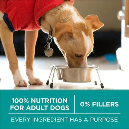 Purina One plus Digestive Health Formula Dry Dog Food Natural with Added Vitamins, Minerals and Nutrients - 31.1 Lb. Bag9