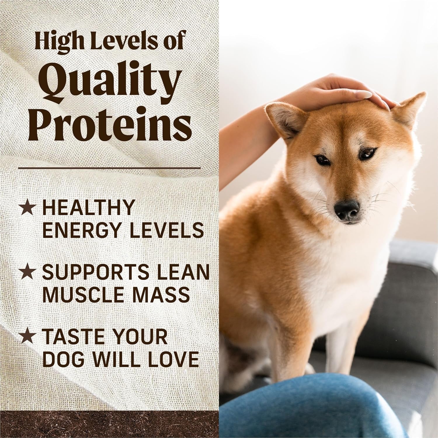 merrick-premium-grain-free-dry-adult-dog-food-22-lb-bag